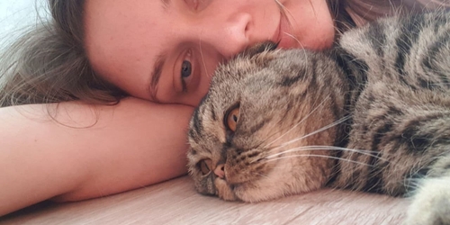 Blog Petsitters
